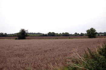 Area of Romano-British occupation north of Sharnbrook Road September 2008